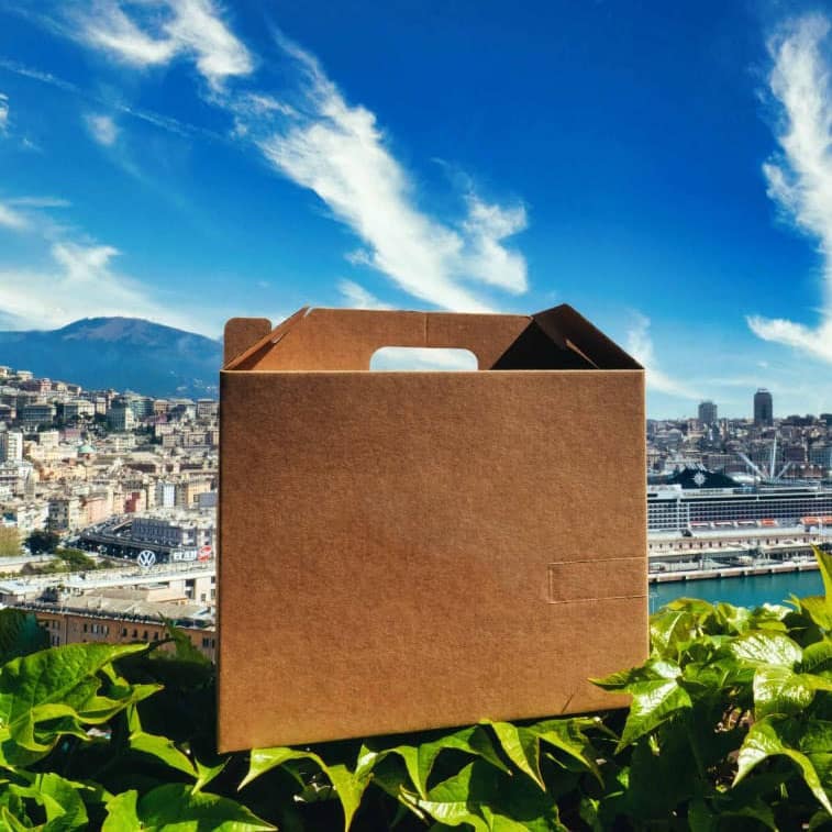 Scatole Delivery Box